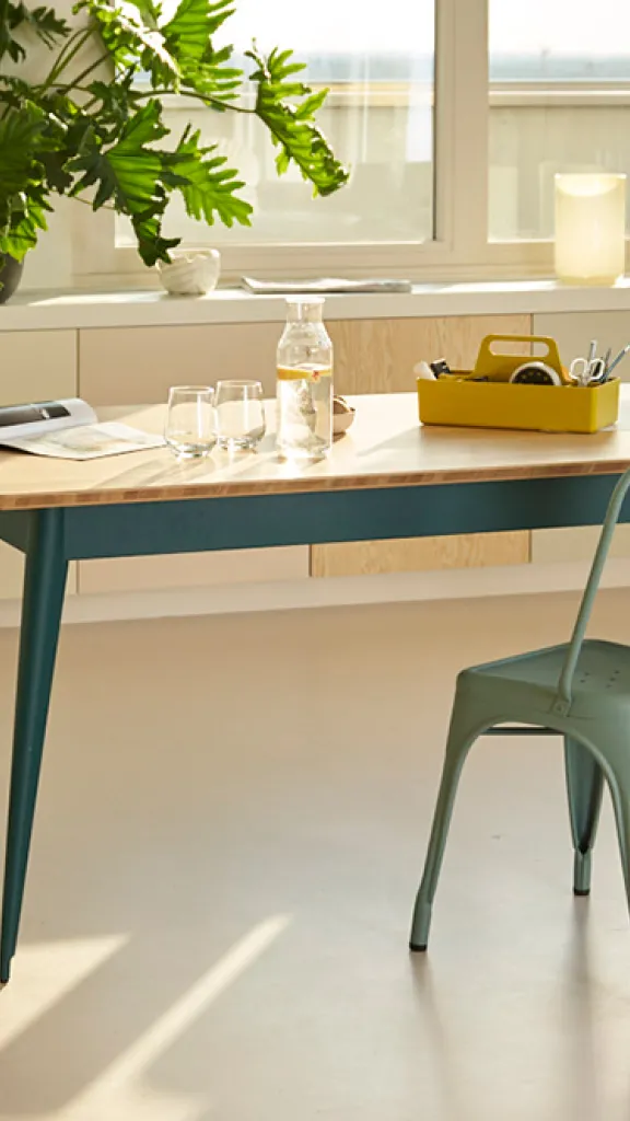 Table and chairs on display in living room with plant