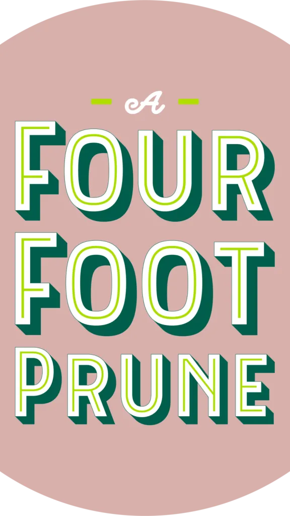 A Four Foot Prune logo