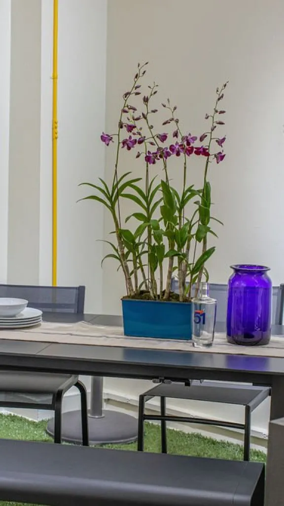 Interior of Petit Jardin en Ville Showroom with furniture and plants on display