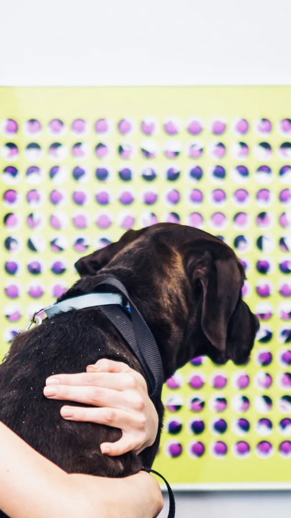 Woman holding a dog looking at a painting 