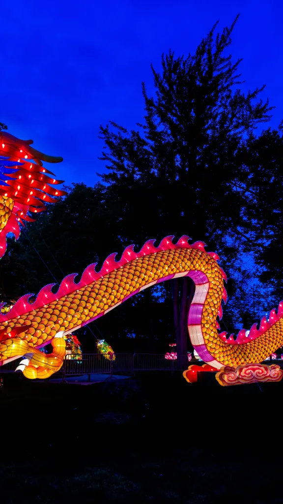 Illuminated dragon at Philadelphia Chinese Lantern Festival in Franklin Square