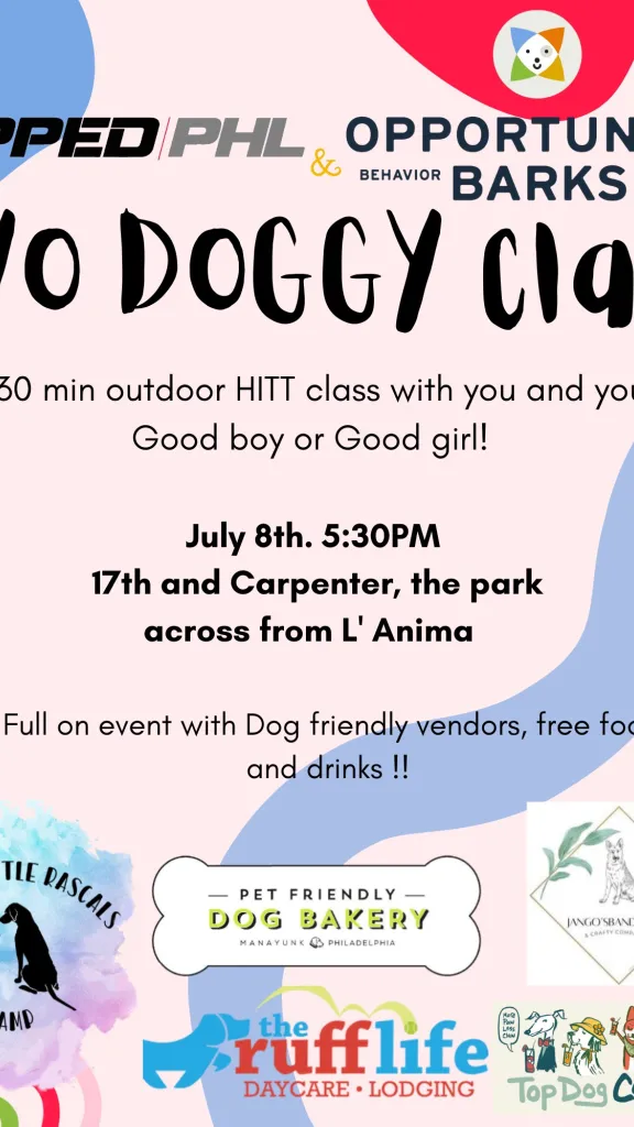 BYO Doggy Class Flyer