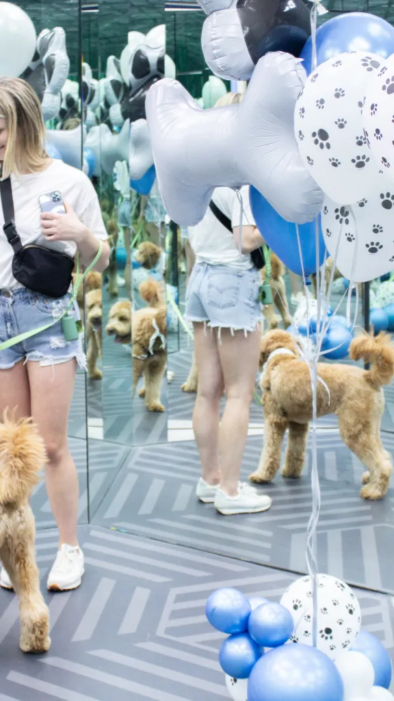 Person and dog at Museum of Illusions