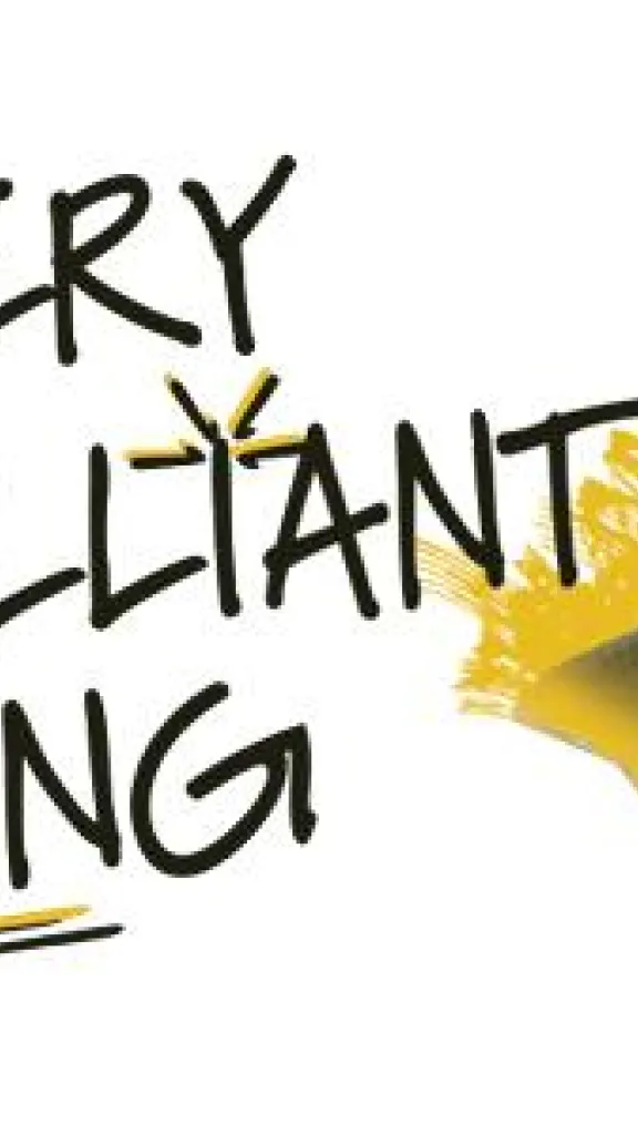 Photo of person with Every Brilliant Thing in text