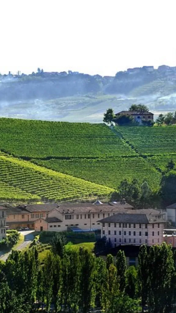 Fontanafredda landscape