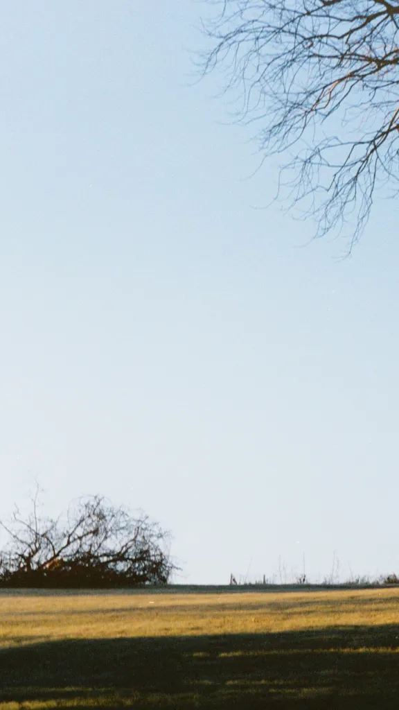 Photograph of landscape with blue sky and grass