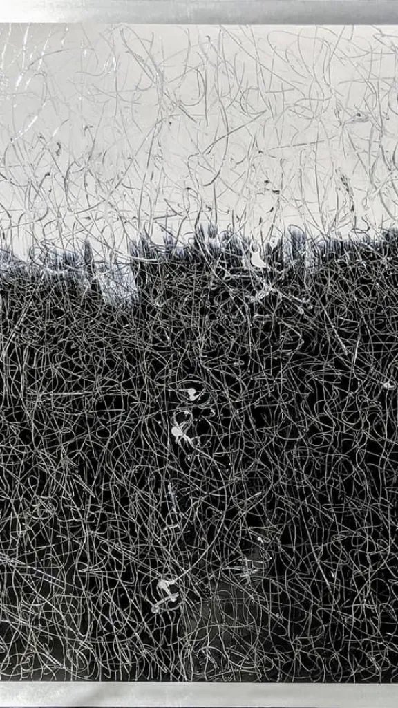 Artwork by Igal Fedida