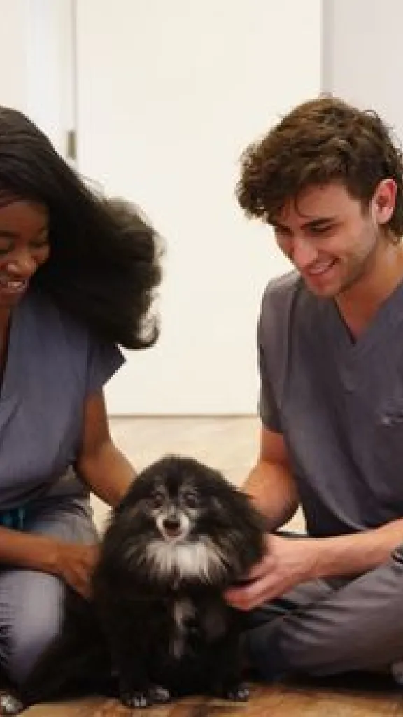 Two Pet Dermatology Center staff members in gray uniforms with dog