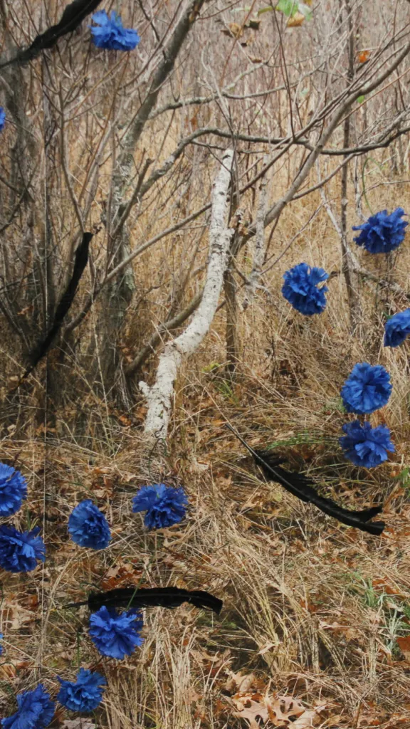 Photo by Rebecca Krinke