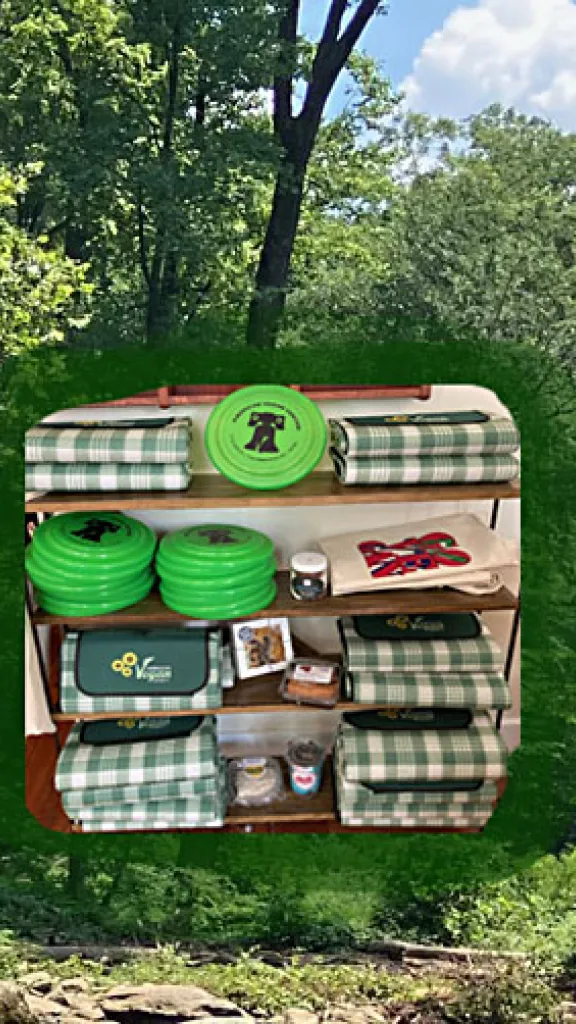 American Vegan Center Picnic items