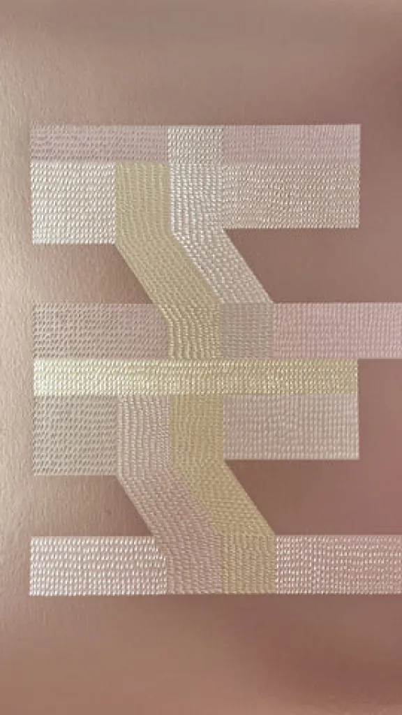 Lucha Rodríguez: Proximity Spectacle artwork