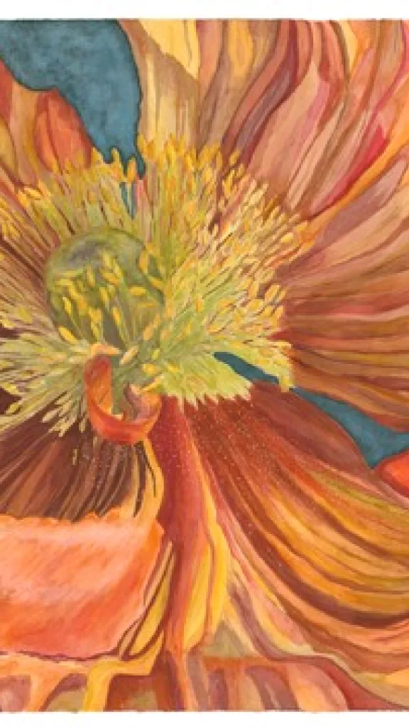 Dynamics of Color at Muse Gallery