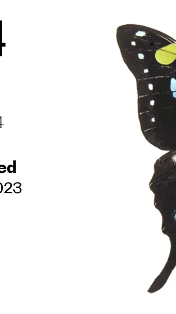 Paradigm Gallery + Studio