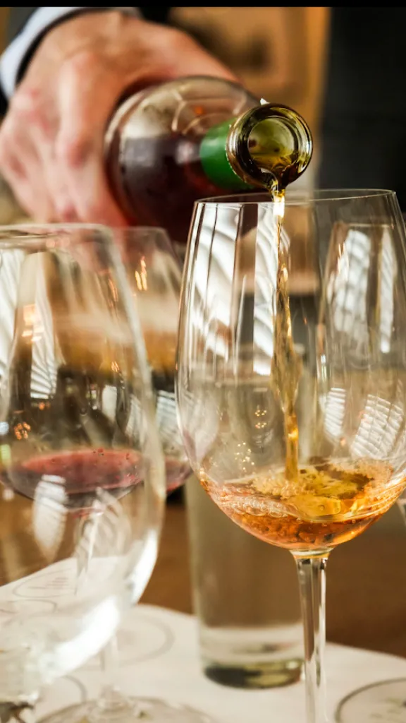 Wine Class: Germany & Austria Wine Tour at Panorama