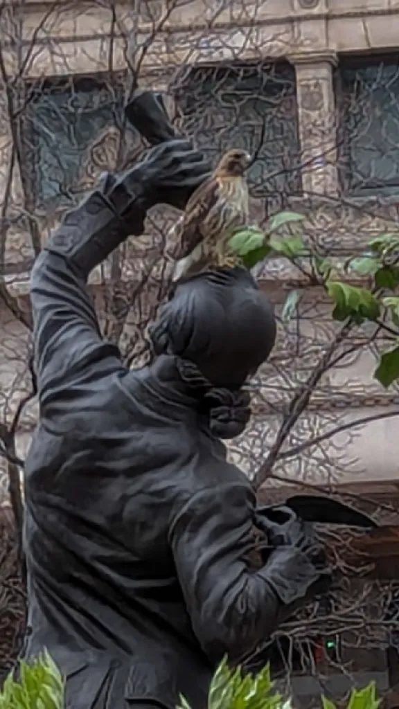 APS Sketching Splendor: Bird Watching