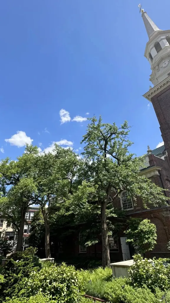 Summer Evening Garden Service