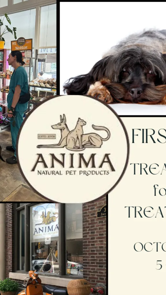 First Friday at ANIMA Natural Pet Products