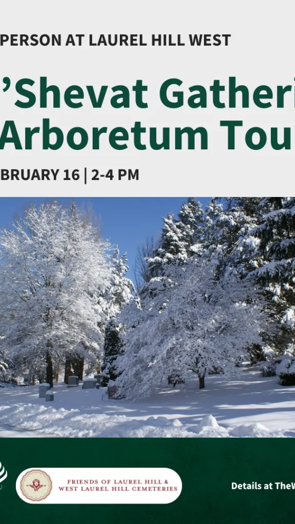 image of tall trees covered in snow with a blue sky. The ground is also covered in snow