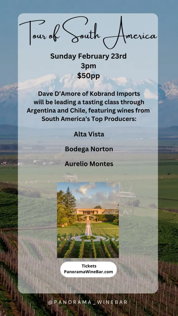 Wine Class Feb 2025 at Panorama