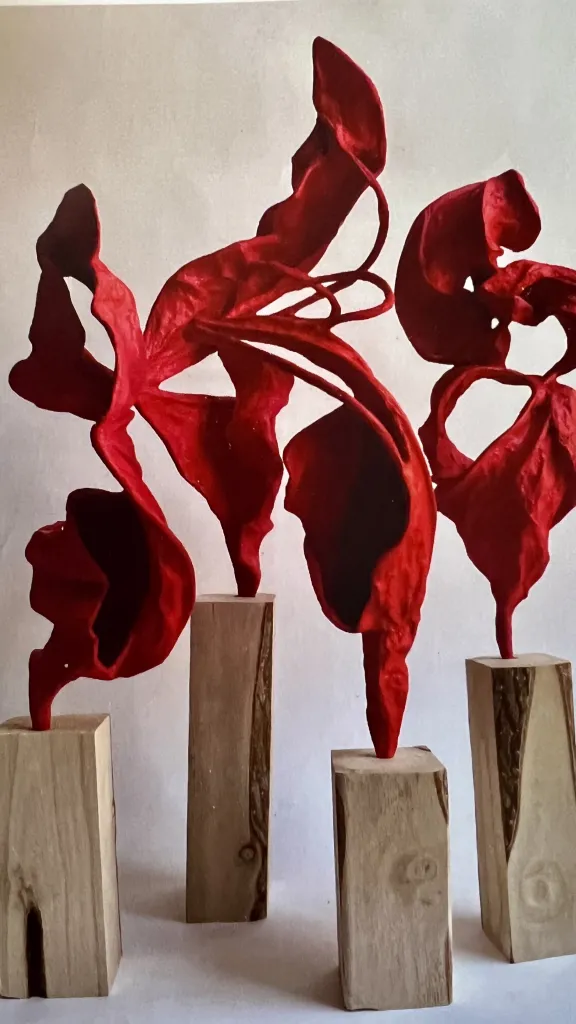 Paulownia Provings ll