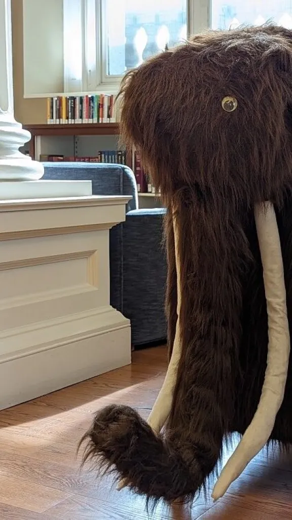library cart disguised as a furry brown animal with tusks