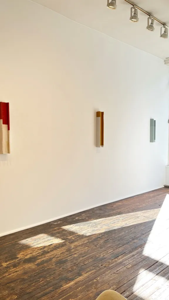 Installation view of three recent STEVE RIEDELL  'Channel Paintings'.