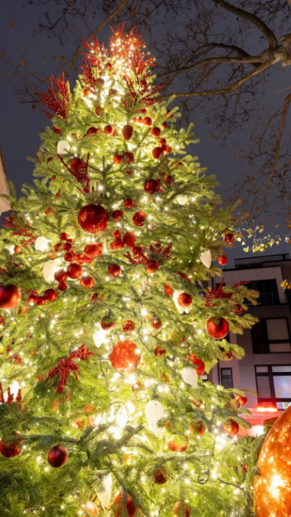 Historic Holidays Tree Lighting