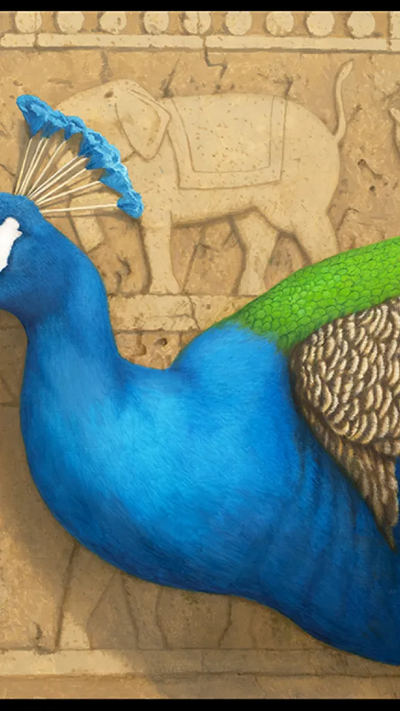 Peacock, 30' x 36", oil/acrylic