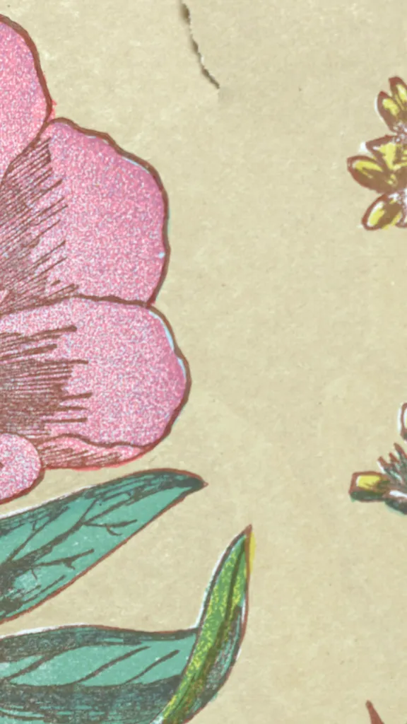 First Friday: May Flowers