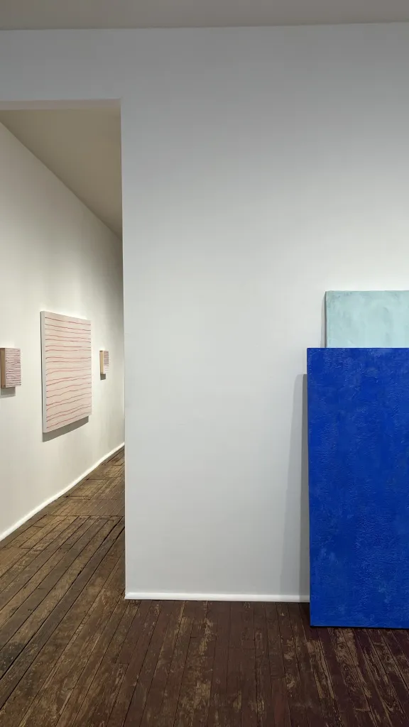 Installation view of Stuart  Fineman  Alan Greenberg   between earth and sky  March 21 through May 23, 2026