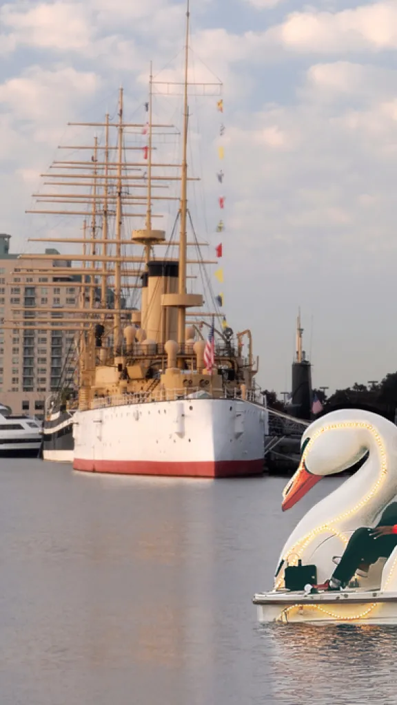 Swan boat on the Delaware River