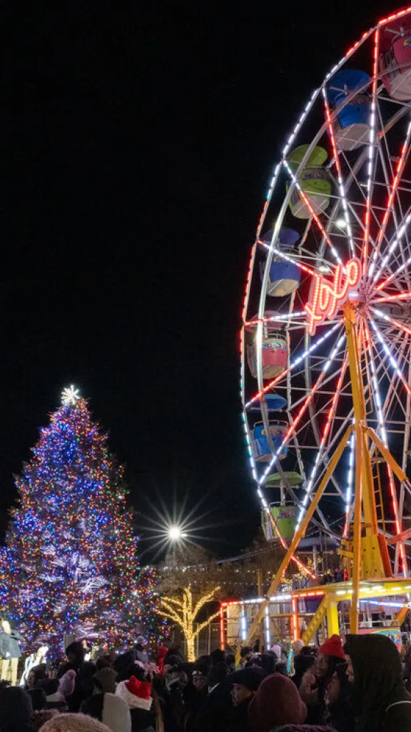 Ferris wheel & Christmass tree