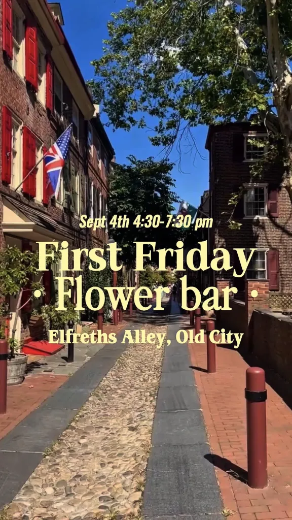 A view on Elfreth's Alley from Second Street