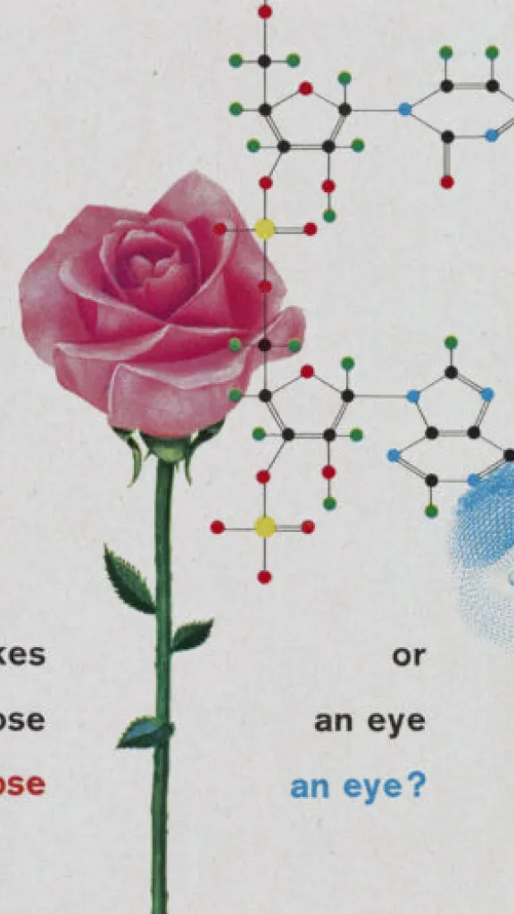 illustration featuring rose, molecular structure, and and eye