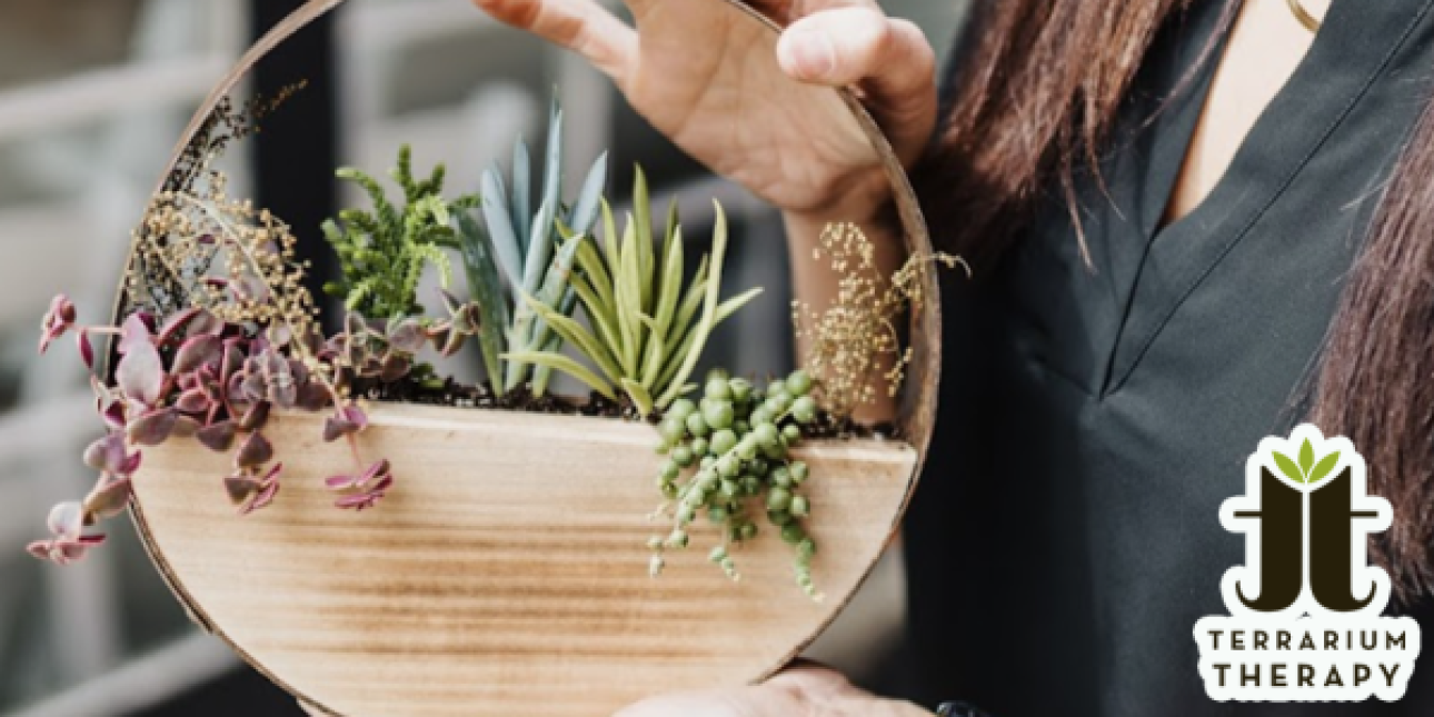 Dinner & Terrarium Therapy Old City District