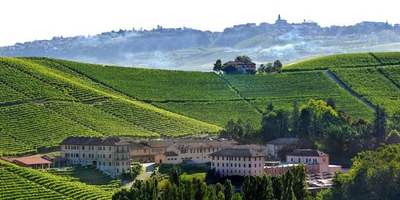 Wine Class Fontanafredda Wines Old City District