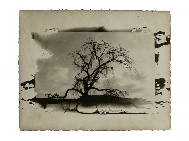 Artwork of a tree 