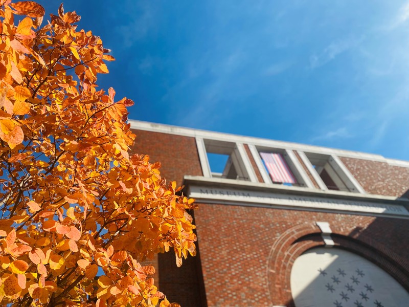 Fall foliage outside of Museum of the American Revolution