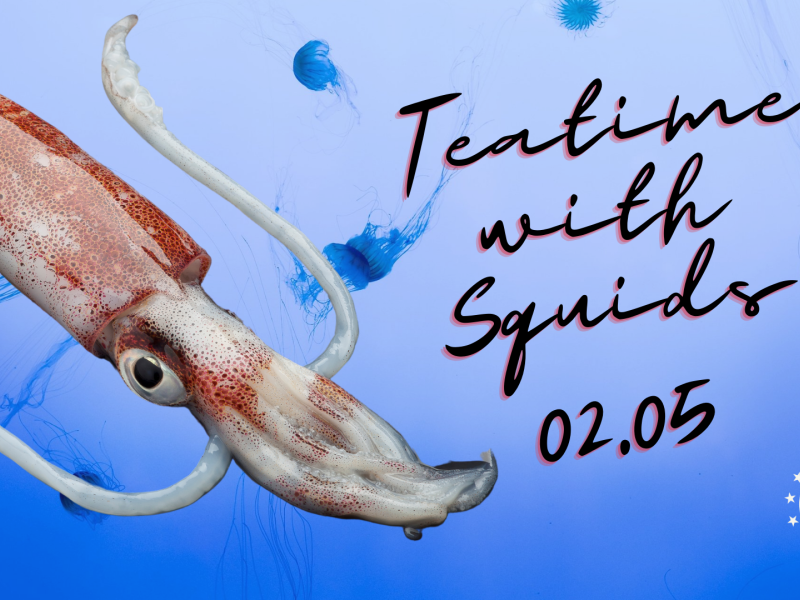 Teatime Series: Teuthology graphic with squid 