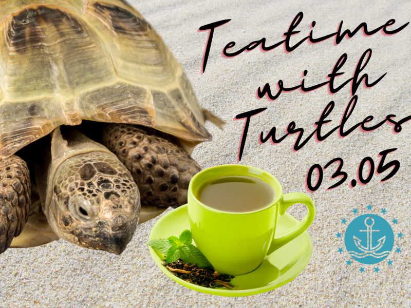 Teatime Series: Teatime with Turtles graphic with event information and a photo of a turtle and a cup of tea
