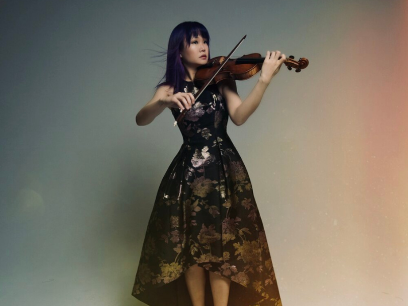 Musician playing the violin
