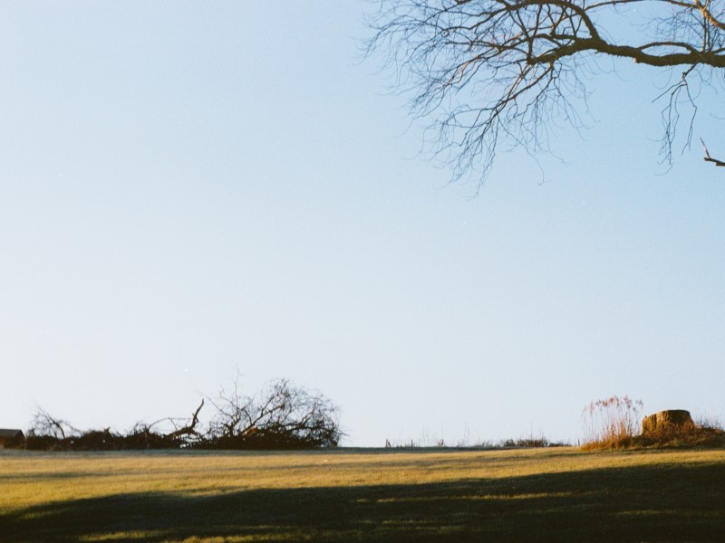 Photograph of landscape with blue sky and grass