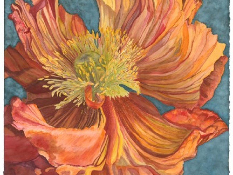 Dynamics of Color at Muse Gallery