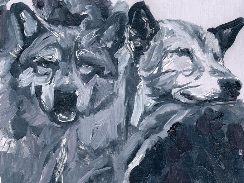 Paint Your Pet Night!