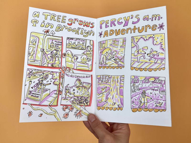 Diary Comics Workshop