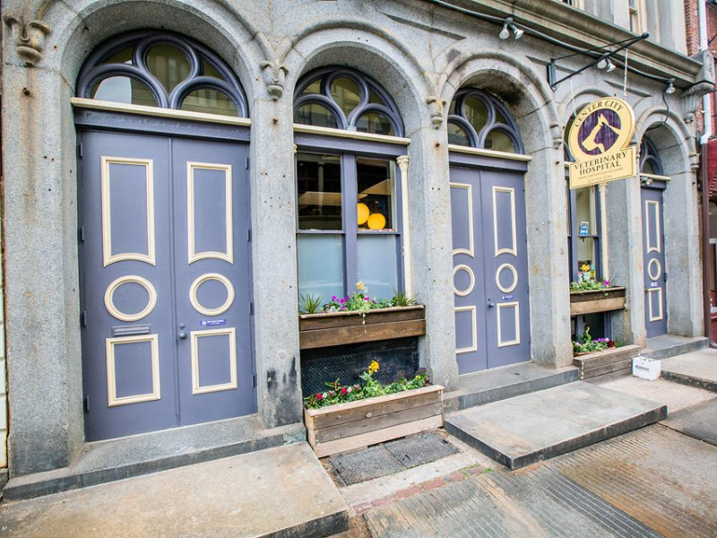 Center City Veterinary Hospital