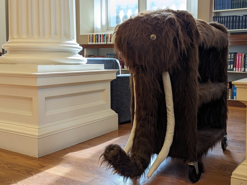library cart disguised as a furry brown animal with tusks