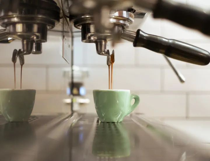 Coffee in green cup at Menagerie Coffee