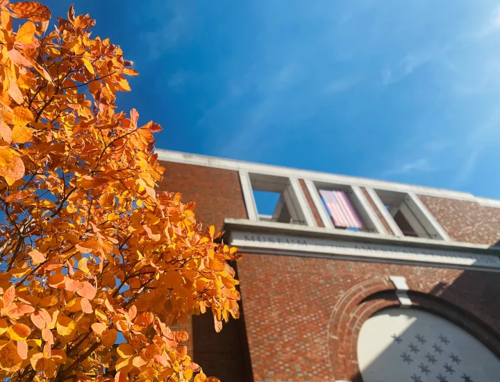 Fall foliage outside of Museum of the American Revolution