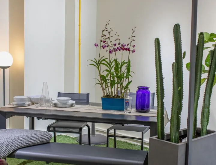 Interior of Petit Jardin en Ville Showroom with furniture and plants on display